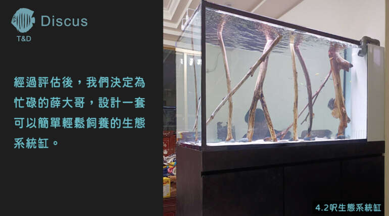 (繁體中文) 土城薛大哥 4.2 呎全人工彩生態系統缸