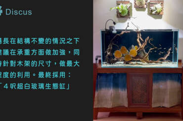 木柵陳先生 4 呎野彩生態超白玻璃缸