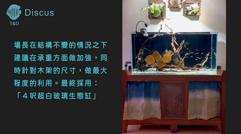 (繁體中文) 木柵陳先生 4 呎野彩生態超白玻璃缸